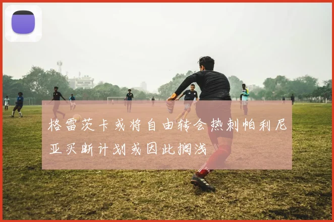 格雷茨卡或将自由转会热刺帕利尼亚买断计划或因此搁浅